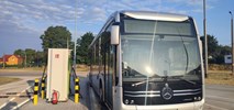 Gorzów Wielkopolski testuje autobus eCitaro 