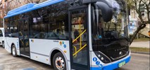 Giżycko z jedną ofertą na elektrobusy