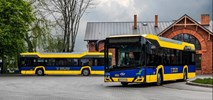 Pabianice: Nie tylko tramwaj. Autobusy wracają do przebudowanego centrum