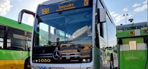 Złotoryja z drugim podejściem do zakupu autobusów elektrycznych