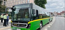 MPK Poznań pokazało przegubowe Mercedesy Conecto G