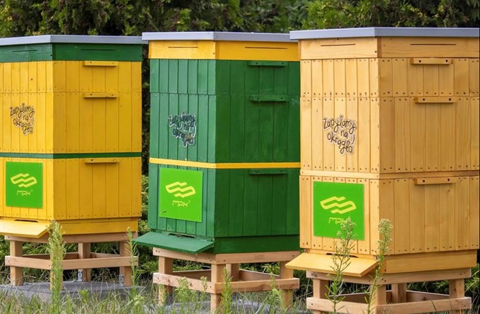 MPK Poznań ma... własną pasiekę