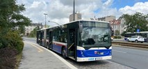 MZK Bydgoszcz na autobusowych zakupach