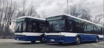 Kraków z jedną ofertą na przewozy autobusowe