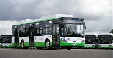3 firmy chcą dostarczyć elektrobusy dla Pelplina