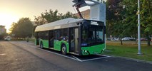 Pierwsze elektrobusy już na ulicach Piotrkowa Trybunalskiego