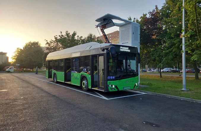 Pierwsze elektrobusy już na ulicach Piotrkowa Trybunalskiego