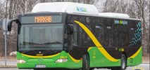 Zgierz odsuwa o rok przetarg na przewozy