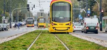 Tramwajowe torowiska pachnące oregano