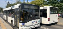 MZK Toruń na autobusowych zakupach