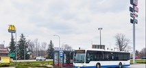 Wiemy kto zapewni autobusową rezerwę w Gdyni