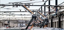 Praga wprowadzi trolejbusy na szesnastą linię autobusową