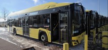 PKM Gliwice kupuje kolejne elektrobusy