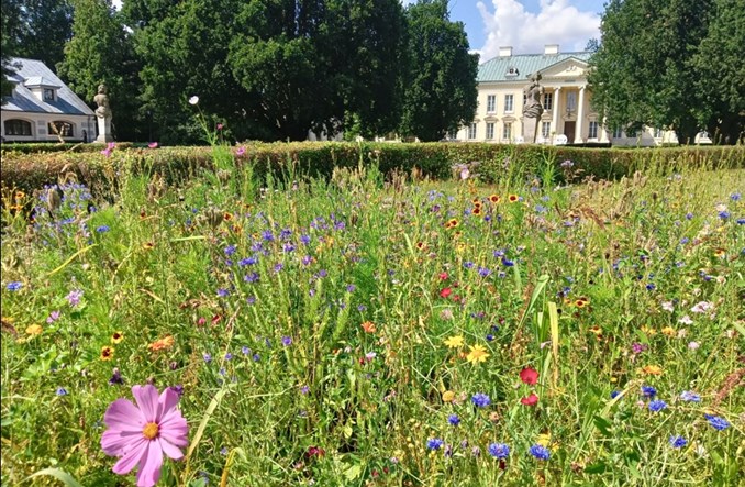 Łódzkie będzie dotować rozwój terenów zielonych w mniejszych miastach 