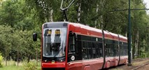 Katowice: Tramwaj na południe. Przygotowanie do przetargu