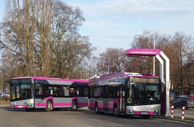 MZK Kutno na "midi" zakupach