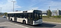 Toruń rozstrzyga przetarg na autobusy hybrydowe