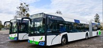 Szczecin chce kupować kolejne elektrobusy