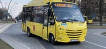 Tarnowskie Góry mają nową linię minibusową