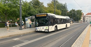 Toruń z ofertą na hybrydy