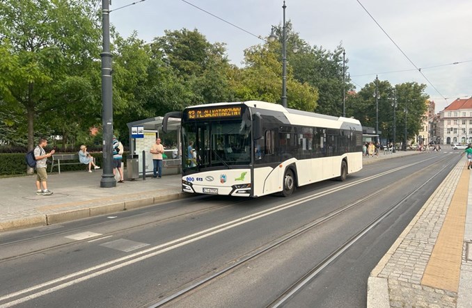 Toruń z ofertą na hybrydy
