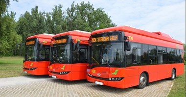 Pięć miast ma środki na nowe bazy i autobusy z Polski Wschodniej