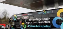 Gdańsk. Ostatnia prosta przed użytkowaniem NesoBusów