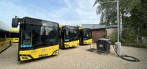 PKM Świerklaniec i plany na co najmniej 80 nowych autobusów