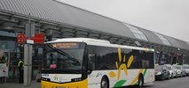 Mazowieckie ogłosi spóźniony przetarg na obsługę linii autobusowych 