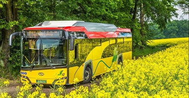 Oświęcim akceptuje oferty na elektrobusy