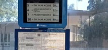 Skierniewice wprowadzają e-papier na przystankach