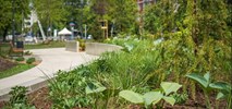 Warszawa. Pierwszy odcinek skweru Krasińskiego już gotowy