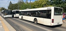 Kolejne fiasko zakupu toruńskich hybryd