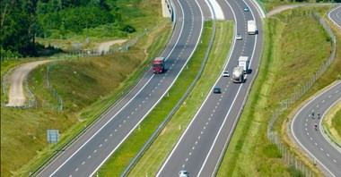 S19 Międzyrzec Podlaski-Radzyń Podlaski. Kierowcom grożą kolizje z łosiami? 