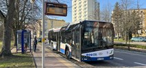 Kołobrzeg tłumaczy sens wprowadzenia bezpłatnej komunikacji miejskiej