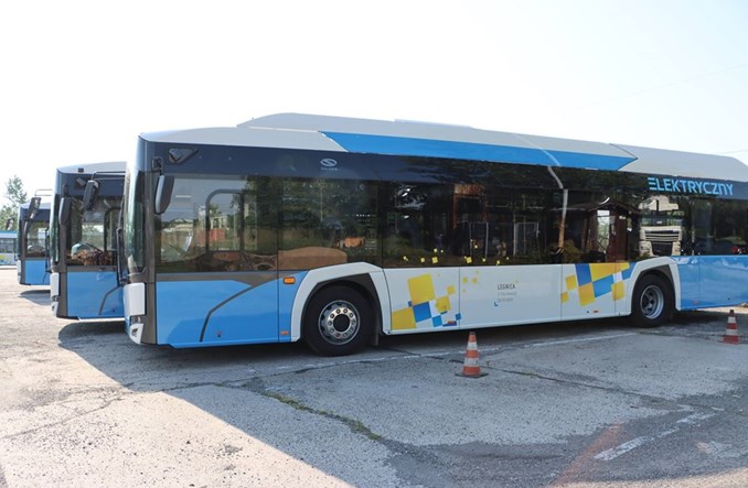 Jedna oferta na autobusy elektryczne dla Legnicy