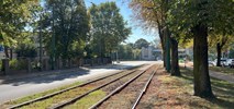 Poznań. Blisko remontu torów na alei Wielkopolskiej