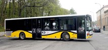 Bukowiec: Potrzebne nowe narzędzia walki z wykluczeniem komunikacyjnym