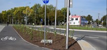Zduńska Wola: Prawie 13 km nowych dróg dla rowerów 