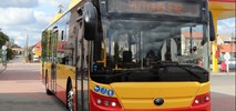 Łomża domawia jeszcze 4 elektrobusy