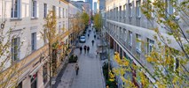 Nowa Chmielna poleca się na spacery