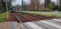 Poznań. Wkrótce ruszy remont kolejnego torowiska  
