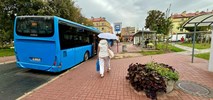 Nowy Dwór Mazowiecki: przetarg na obsługę nowych połączeń i świeża "marka" w mieście