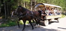 Morskie Oko. Zostają zaprzęgi, ale będą też autobusy. Kompromis?