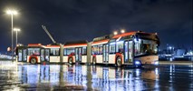 Solaris zapowiada swoją dominację na rynku europejskim i szersze wejście na rynek amerykański