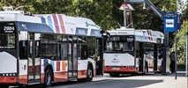 Radom wybiera ofertę dwóch firm na dostarczenie autobusów?