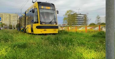 Toruń chce tramwaju na lewobrzeżu. Analiza zlecona