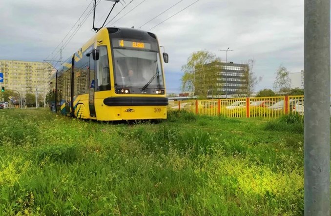 Toruń chce tramwaju na lewobrzeżu. Analiza zlecona