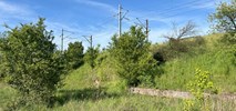 Poznań. Nie będzie przystanku kolejowego Naramowice Wschodnie/Rubież
