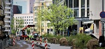 Warszawa: Ulica Zgoda bardziej zielona